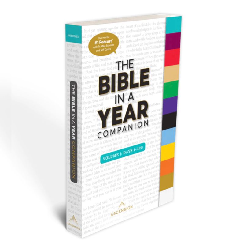 Bible in a Year Companion, Volume I (Days 1–120)