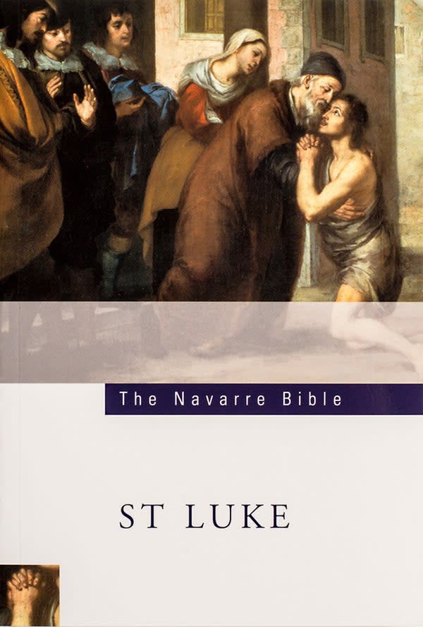 Navarre Bible St Luke