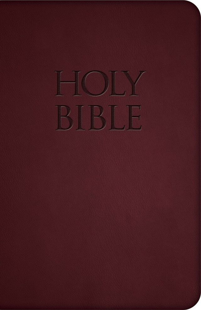 NABRE - New American Bible Revised Edition (Burgundy Deluxe Leatherette)