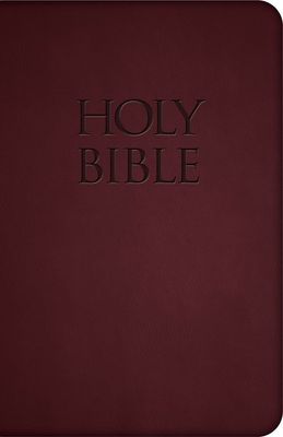 NABRE - New American Bible Revised Edition (Burgundy Deluxe Leatherette)