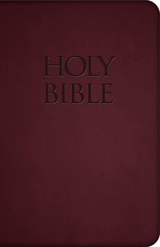 NABRE - New American Bible Revised Edition (Burgundy Deluxe Leatherette)