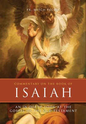 Bible Commentaries &amp; Studies