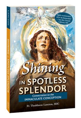Shining in Spotless Splendor: Consecration to the Immaculate Conception