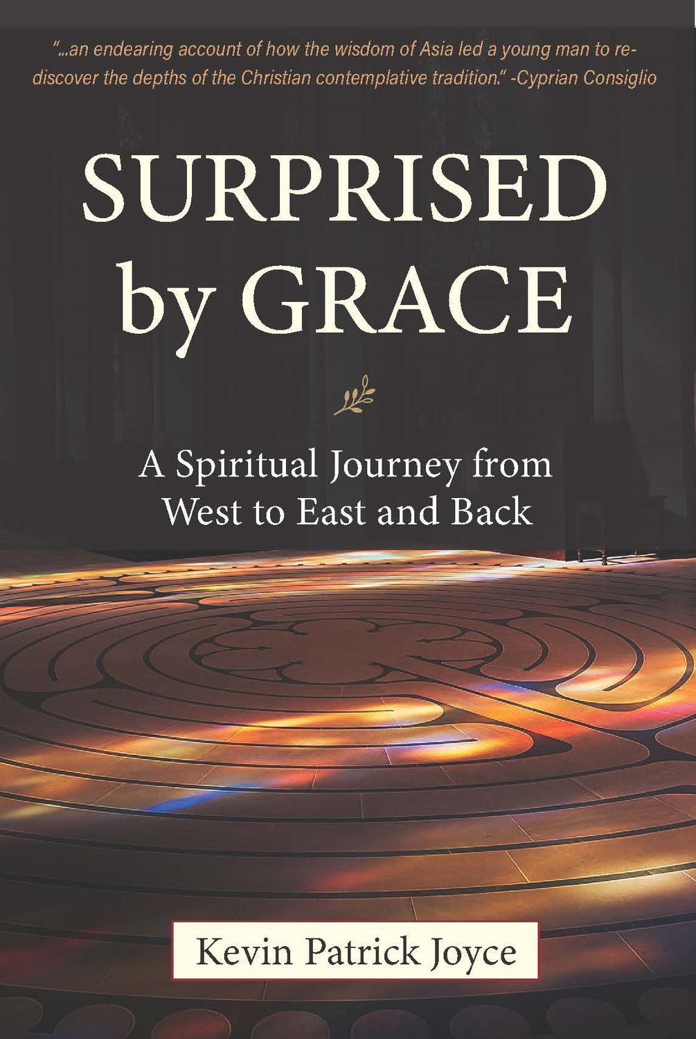 Surprised By Grace: A Spiritual Journey from West to East and Back