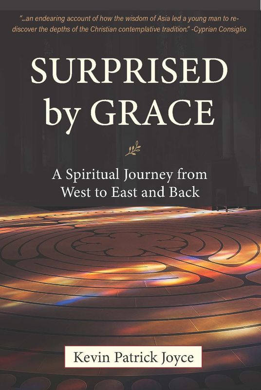 Surprised By Grace: A Spiritual Journey from West to East and Back
