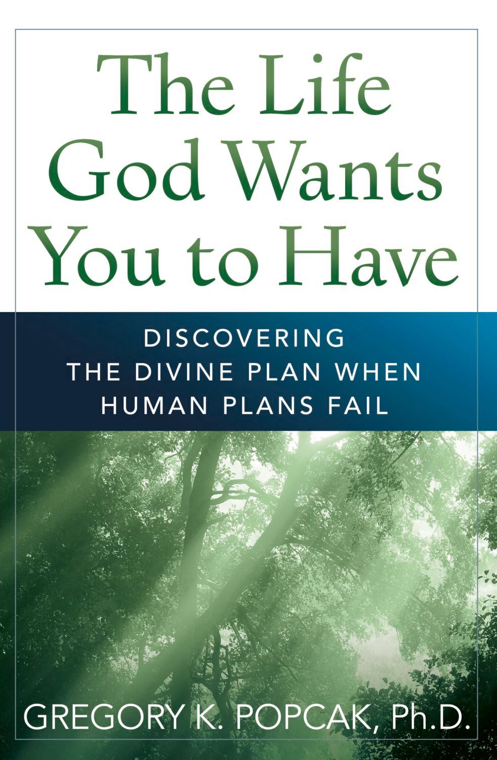 Life God Wants You to Have: Discovering the Divine Plan when Human Plans Fail