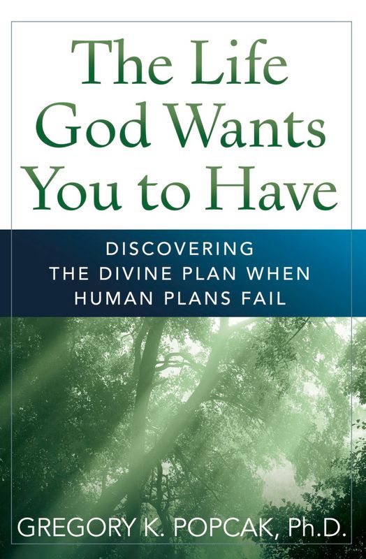 Life God Wants You to Have: Discovering the Divine Plan when Human Plans Fail