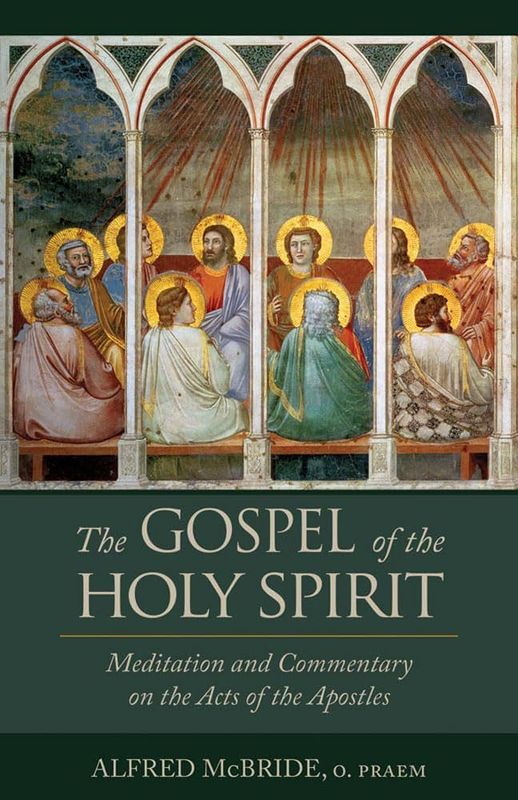 Gospel of the Holy Spirit: Meditation &amp; Commentary of the Acts of the Apostle