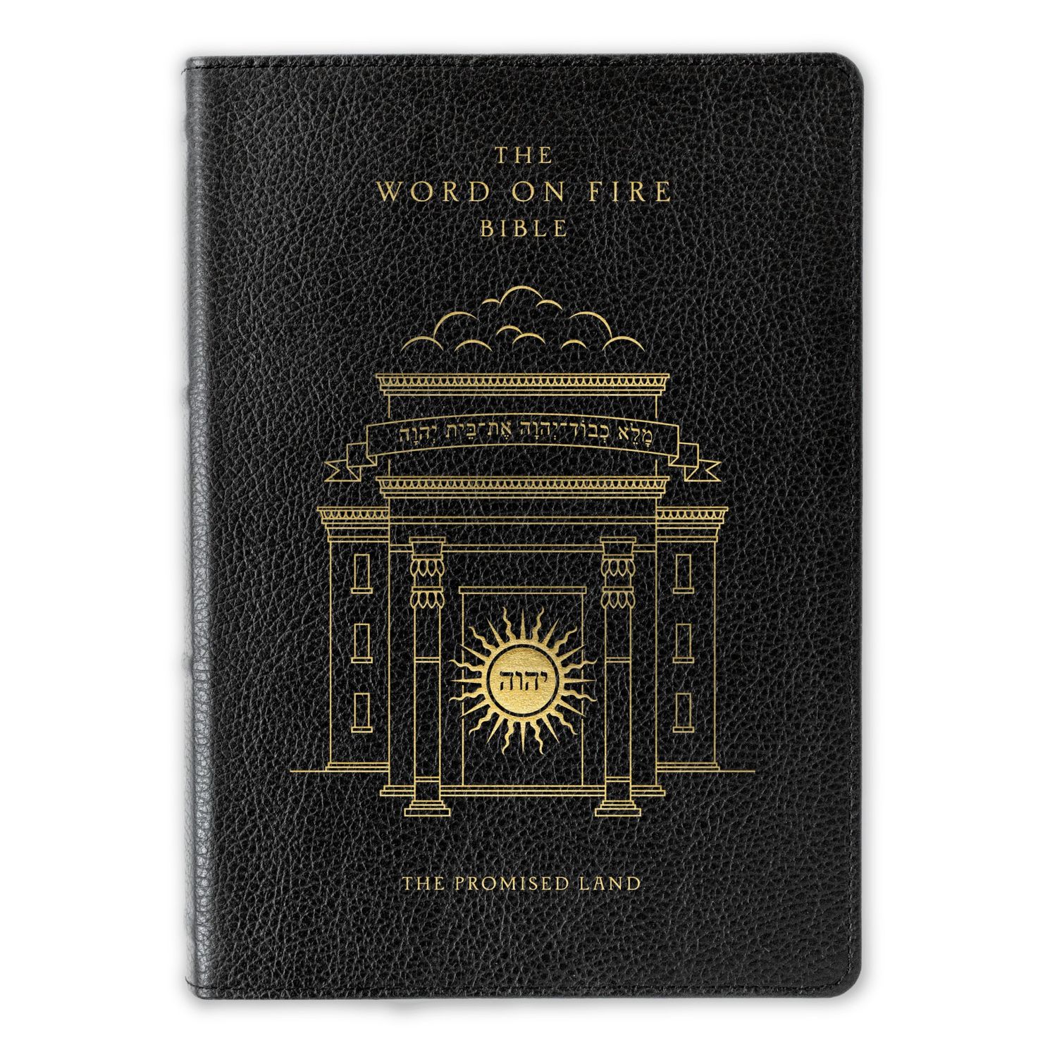 The Word on Fire Bible (Volume IV): The Promised Land, Leather edition