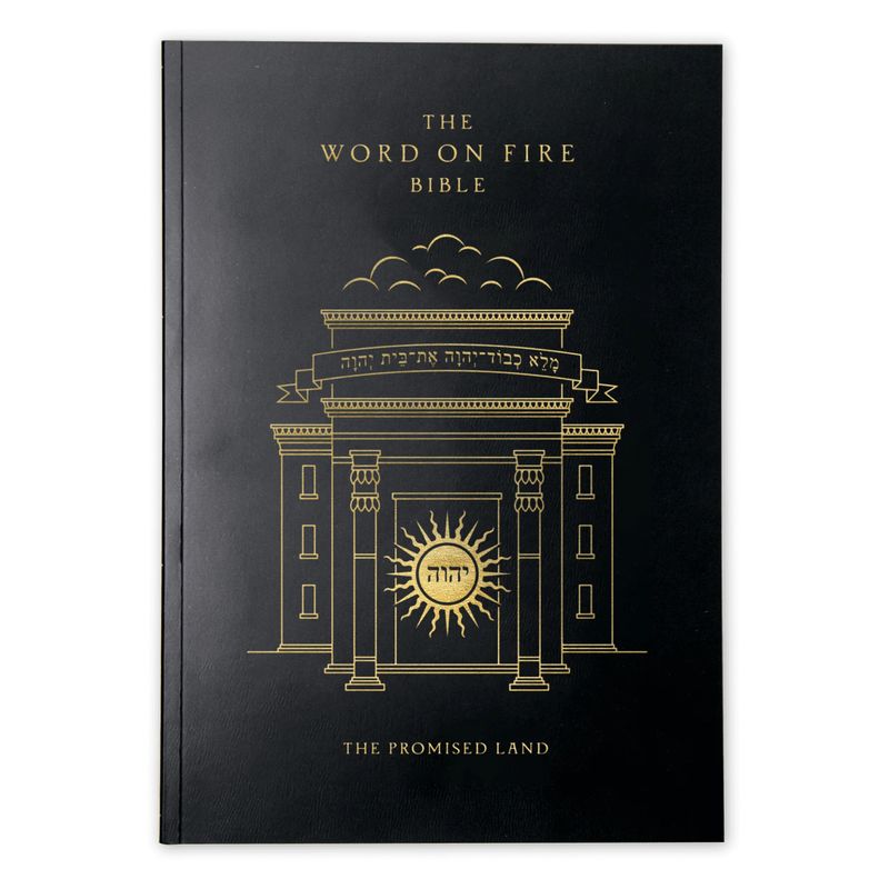 The Word on Fire Bible (Volume IV): The Promised Land, Paperback edition