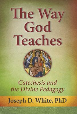The Way God Teaches: Catechesis and the Divine Pedagogy