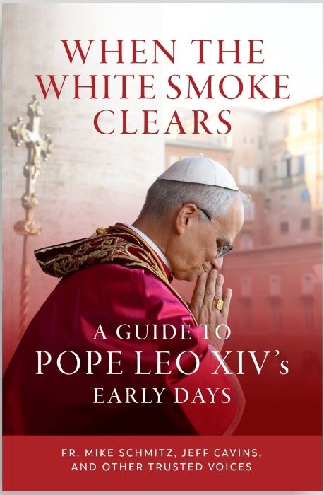 When the White Smoke Clears: A Guide to Pope Leo XIV&#39;s Early Days