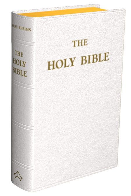 Douay-Rheims Bible (Large - 7" x 10" White) - flexible cover