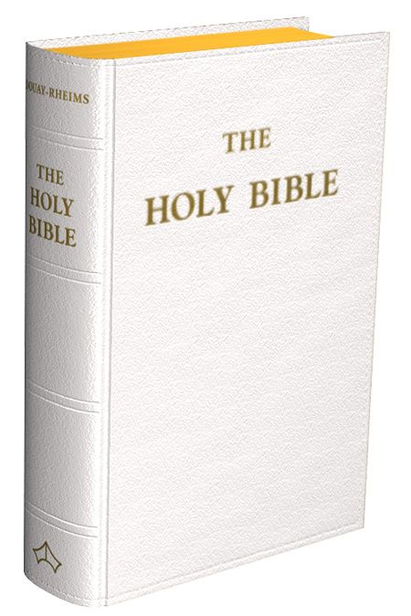 Douay-Rheims Bible (Standard 6'' x 8¼''  White) - flexible cover