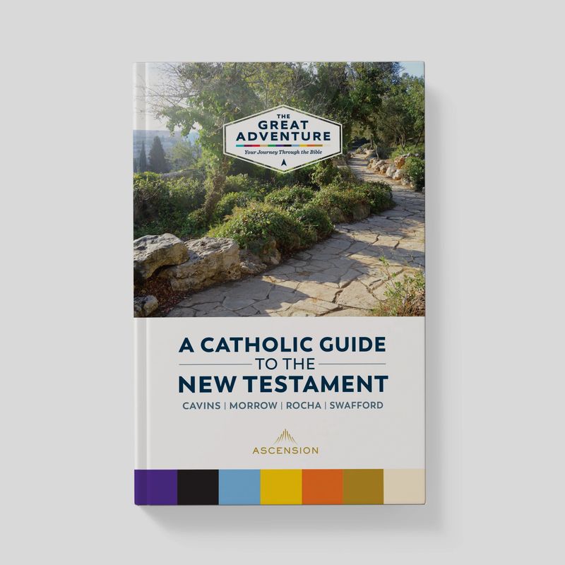 Great Adventure Catholic Guide to the New Testament