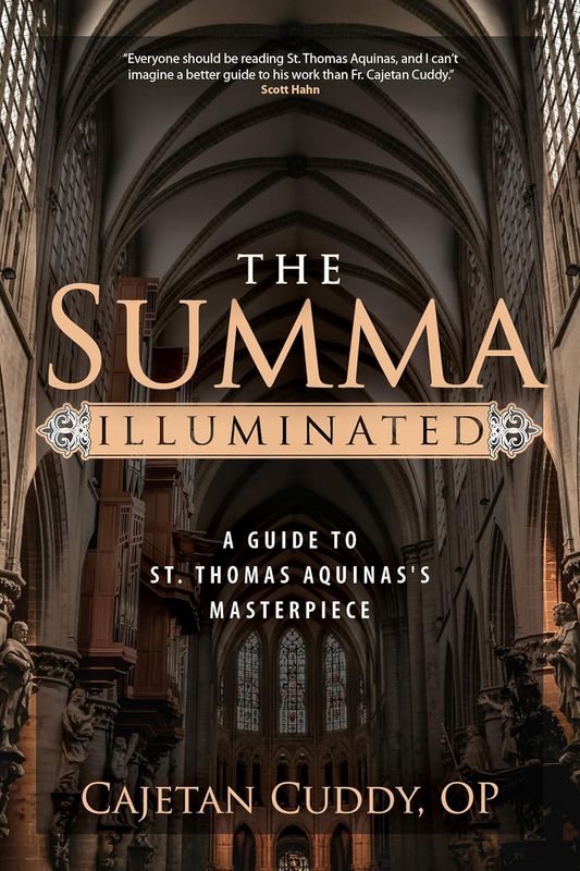 The Summa Illuminated: A Guide to St. Thomas Aquinas's Masterpiece