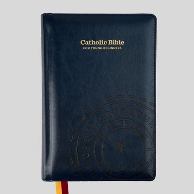 The Great Adventure Catholic Bible for Young Beginners The Great Adventure Catholic Bible for Young Beginners