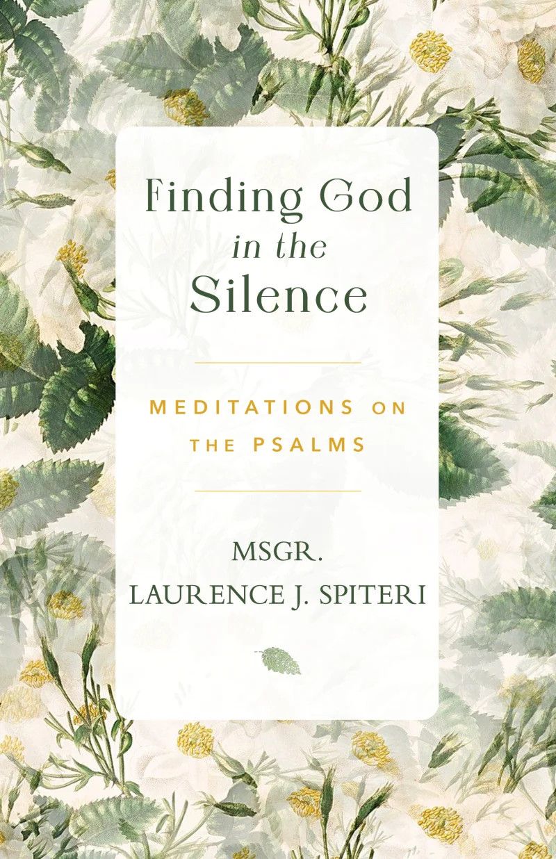 Finding God in the Silence: Meditations on the Psalms