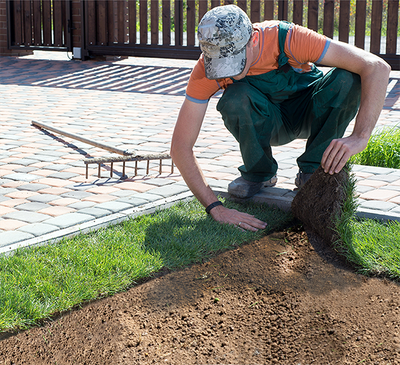 SOD & HYDROSEED