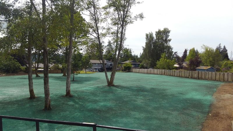 Hydroseeding Services