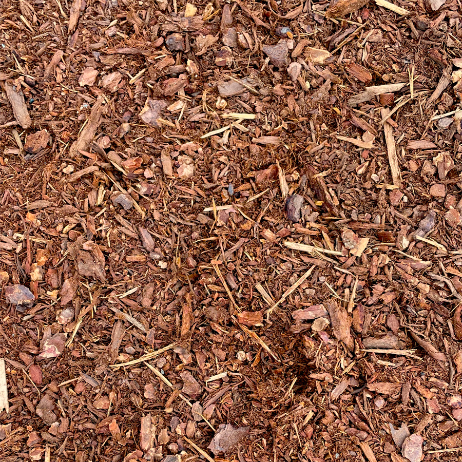 Bark