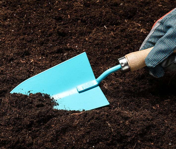 Topsoil - Available Seasonally