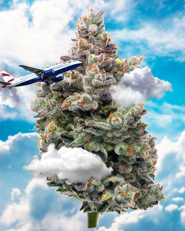@Surface_area999 "Mile High Club"