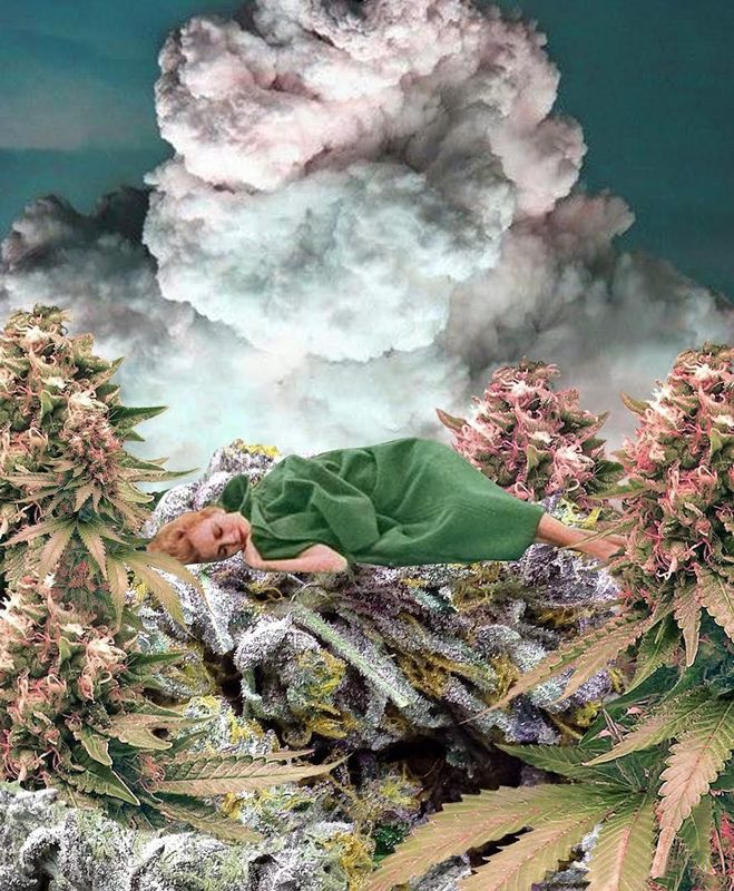 CosmicEden "A Botanical Rest"