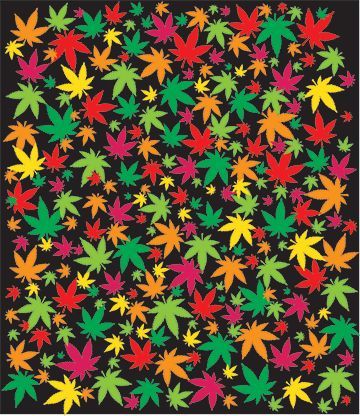 Kate Nisbett "Rainbow Kush"