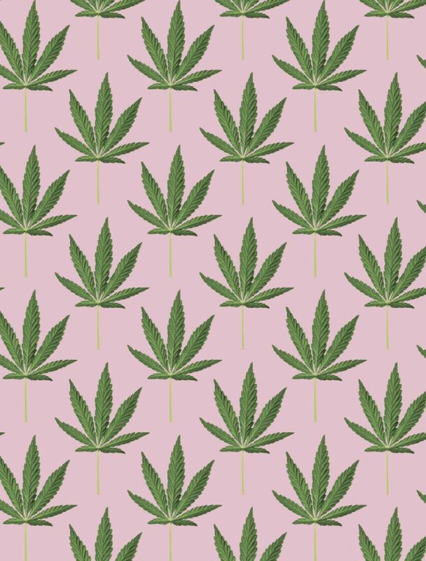 Indica "Mary Jane"