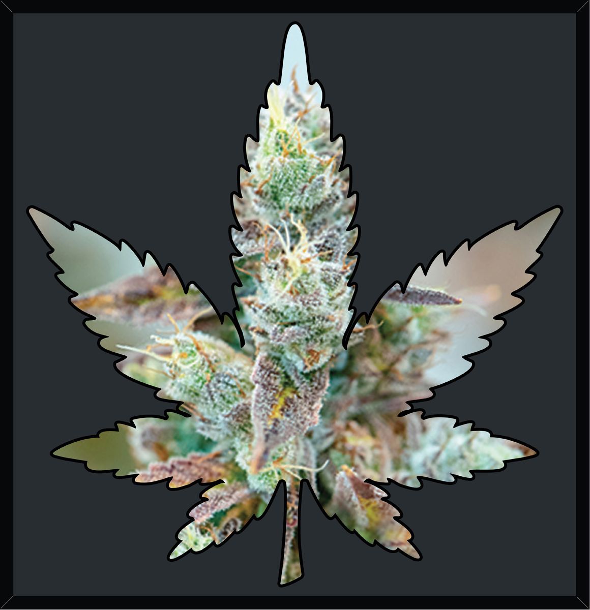 Nick Johnson "CG4" Wall Art - Framed