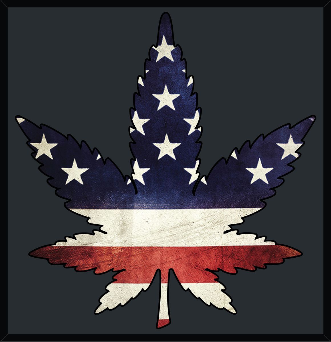 Indica "Stars and Strips" Wall Art - Framed