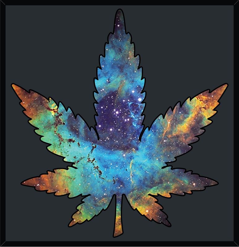 Indica "Galactica Bud" Wall Art - Framed