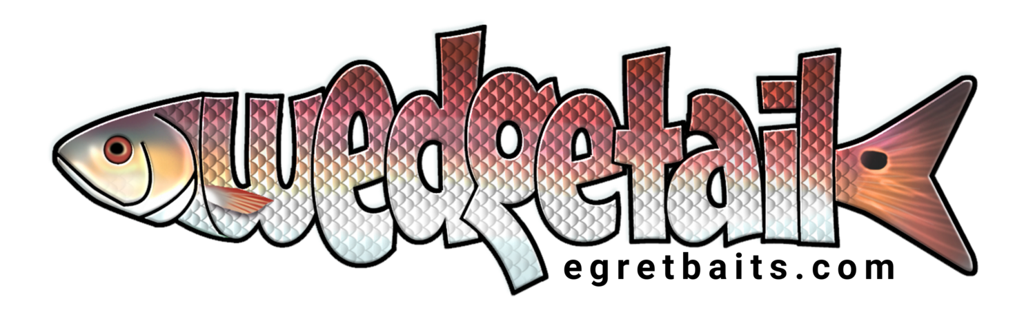 WEDGETAIL STICKER