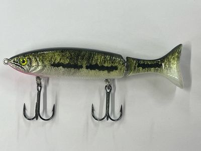 KICK-A-SHAD 5 Inch Bass Custom Hand Airbrush