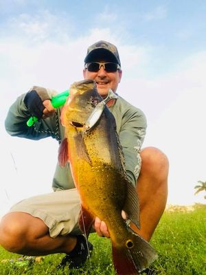 LOST VAULT LEGENDS - KICK-A-SHAD