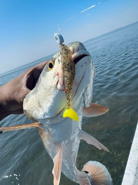 cork fishing pole handles Custom Cork Fishing Rod Grip Ideas