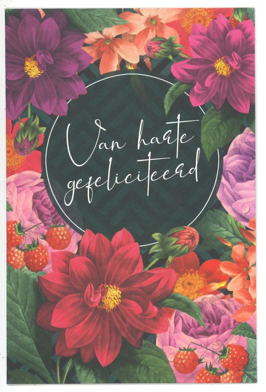 Wenskaart Gefeliciteerd - Bubblegum 11