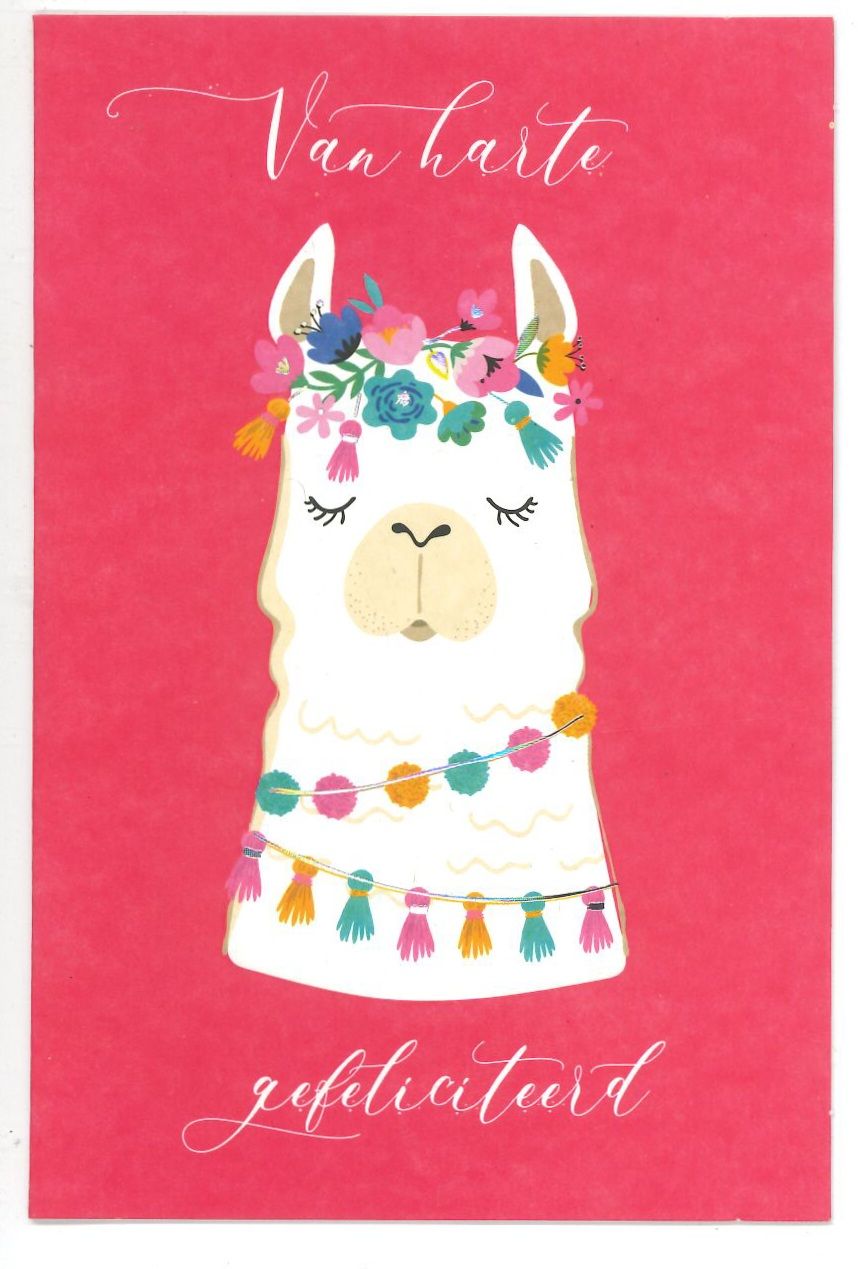 Wenskaart Gefeliciteerd - Bubblegum 03
