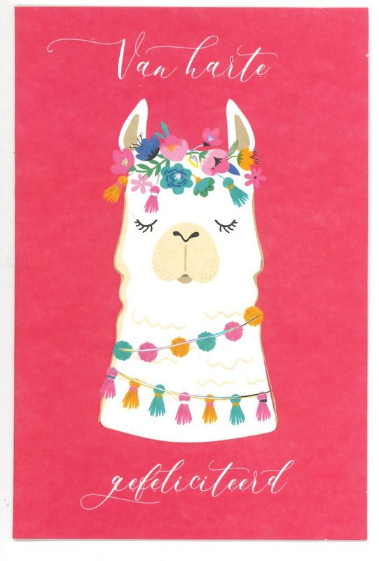 Wenskaart Gefeliciteerd - Bubblegum 03