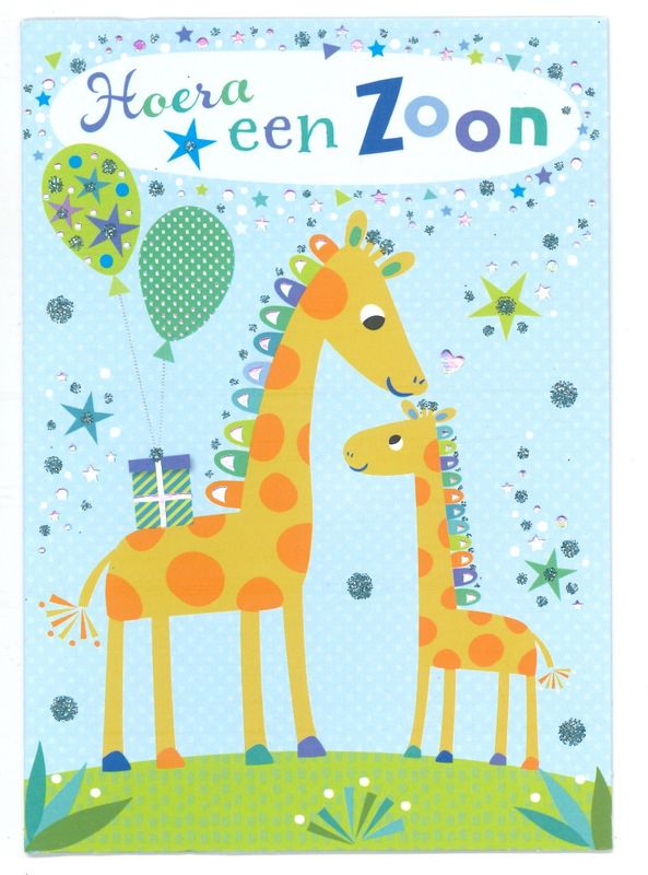 Wenskaart Geboorte Jongen - Mardi Gras 44