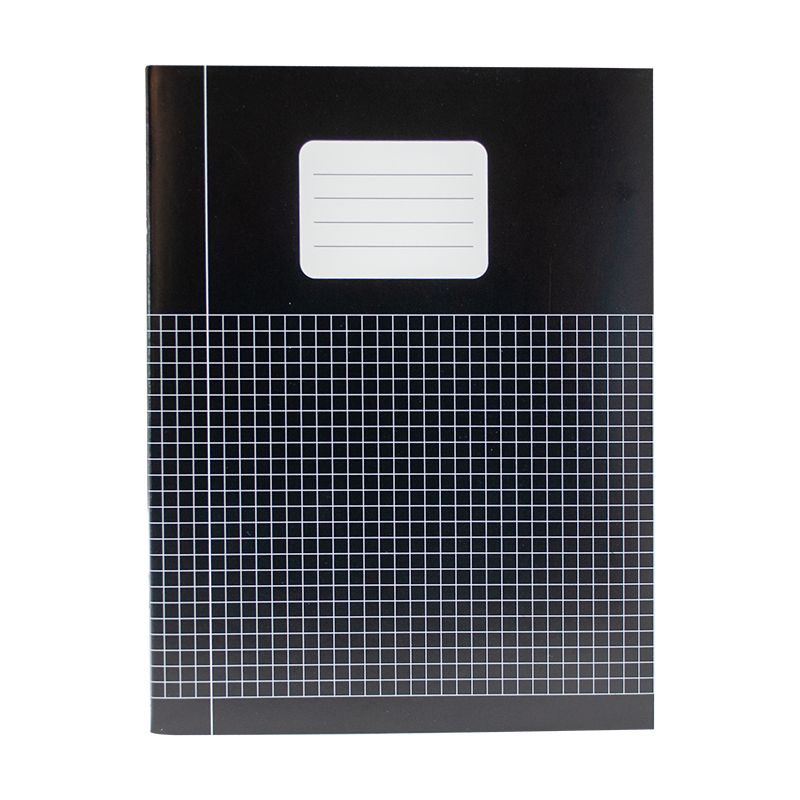 Schriften A5 ruit 5mm basis kleuren assorti.