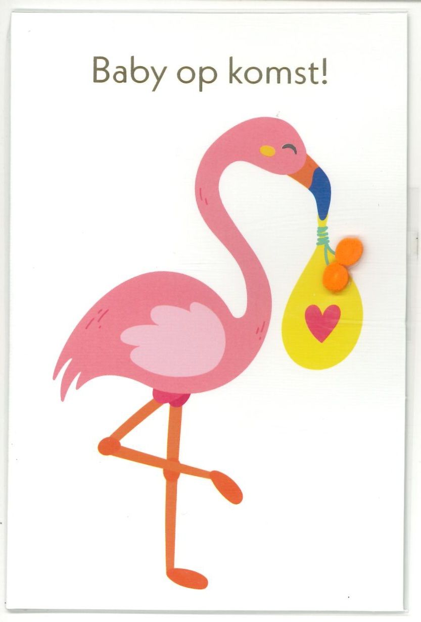 Wenskaart Zwanger - Playful 68