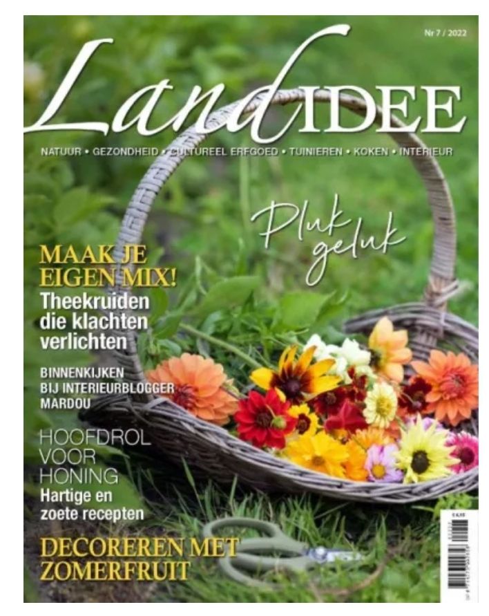 Landidee