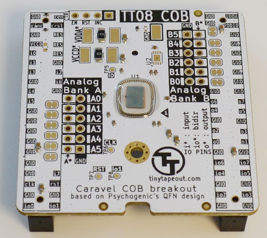 TT08 Development Kit - Chip on Board edition