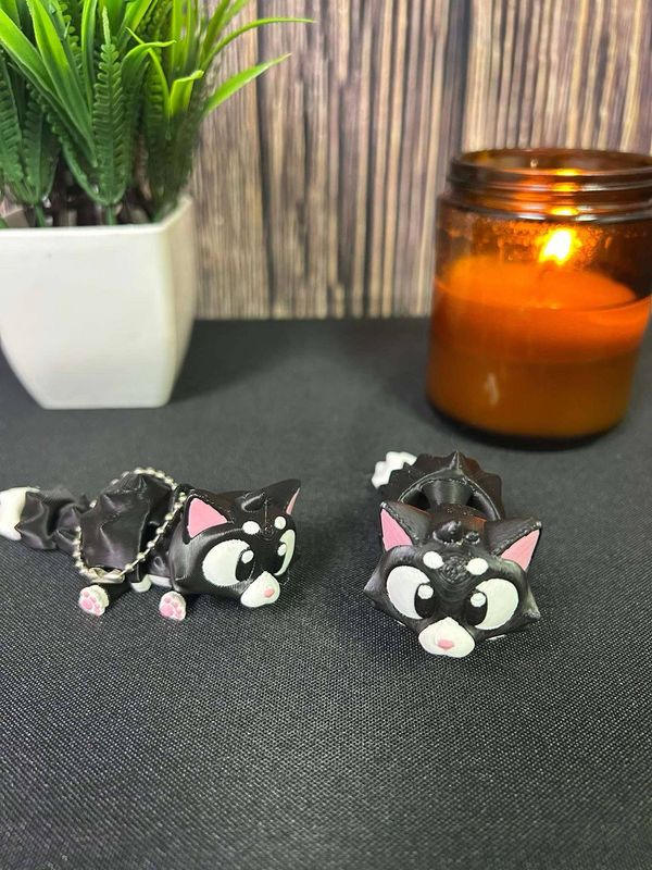 3D Cat