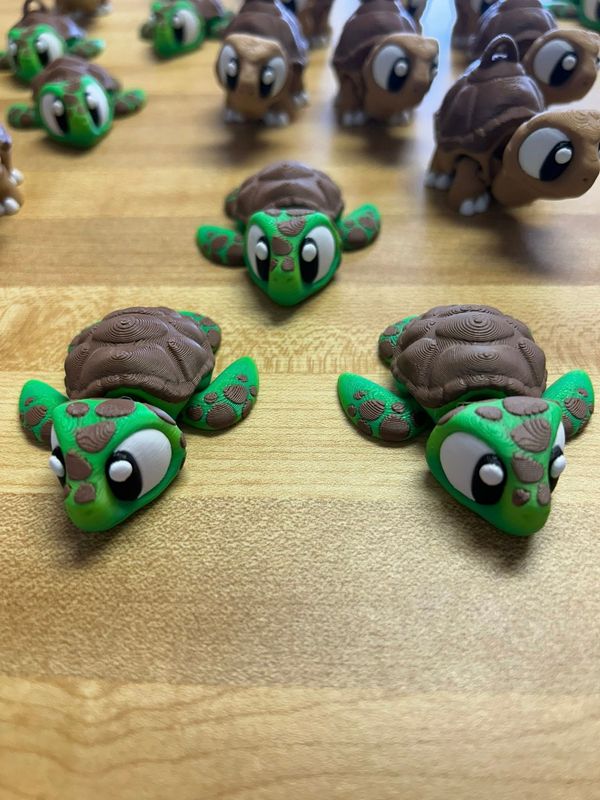 3D Turtle