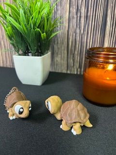 3D Tortoise