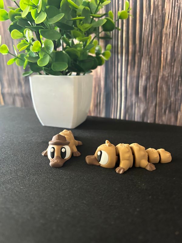 3D Platypus