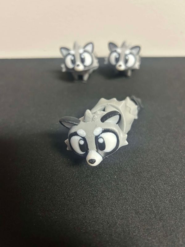3D Racoon